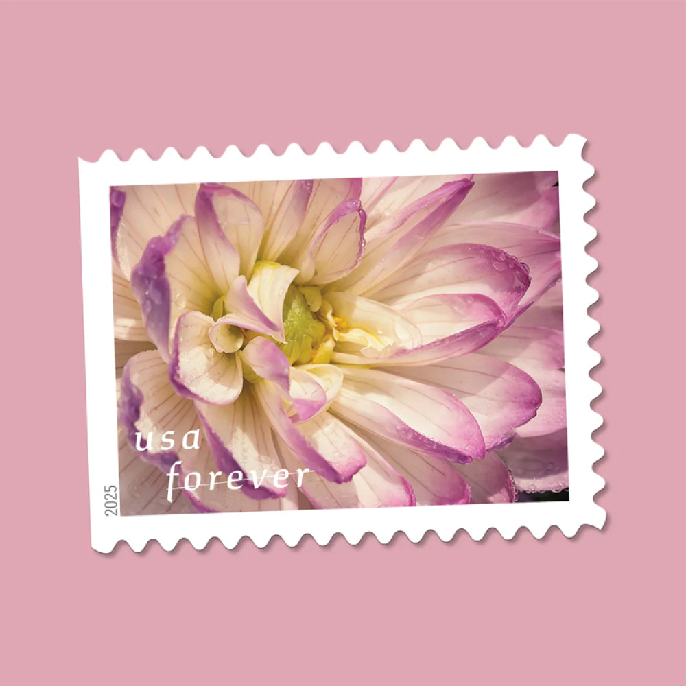 (2025) Dahlias Stamps Book of 20