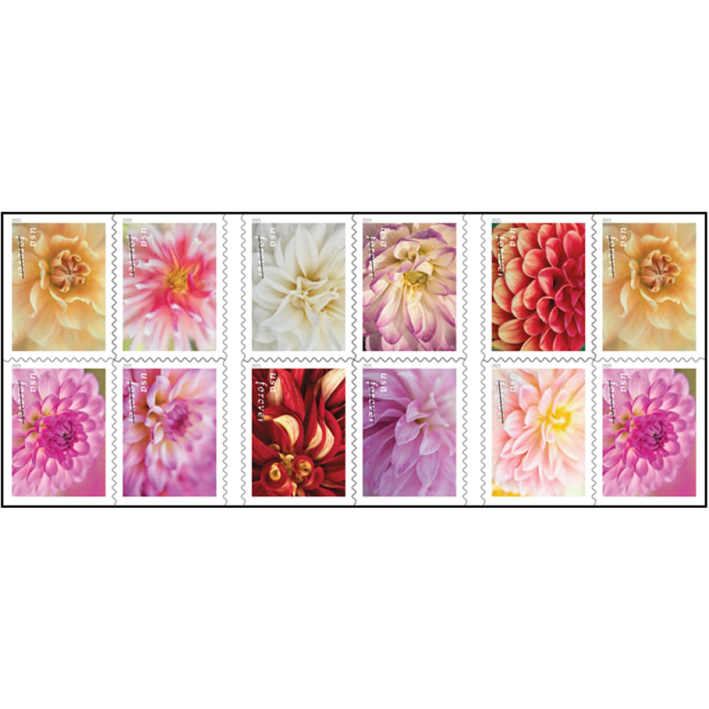 (2025) Dahlias Stamps Book of 20