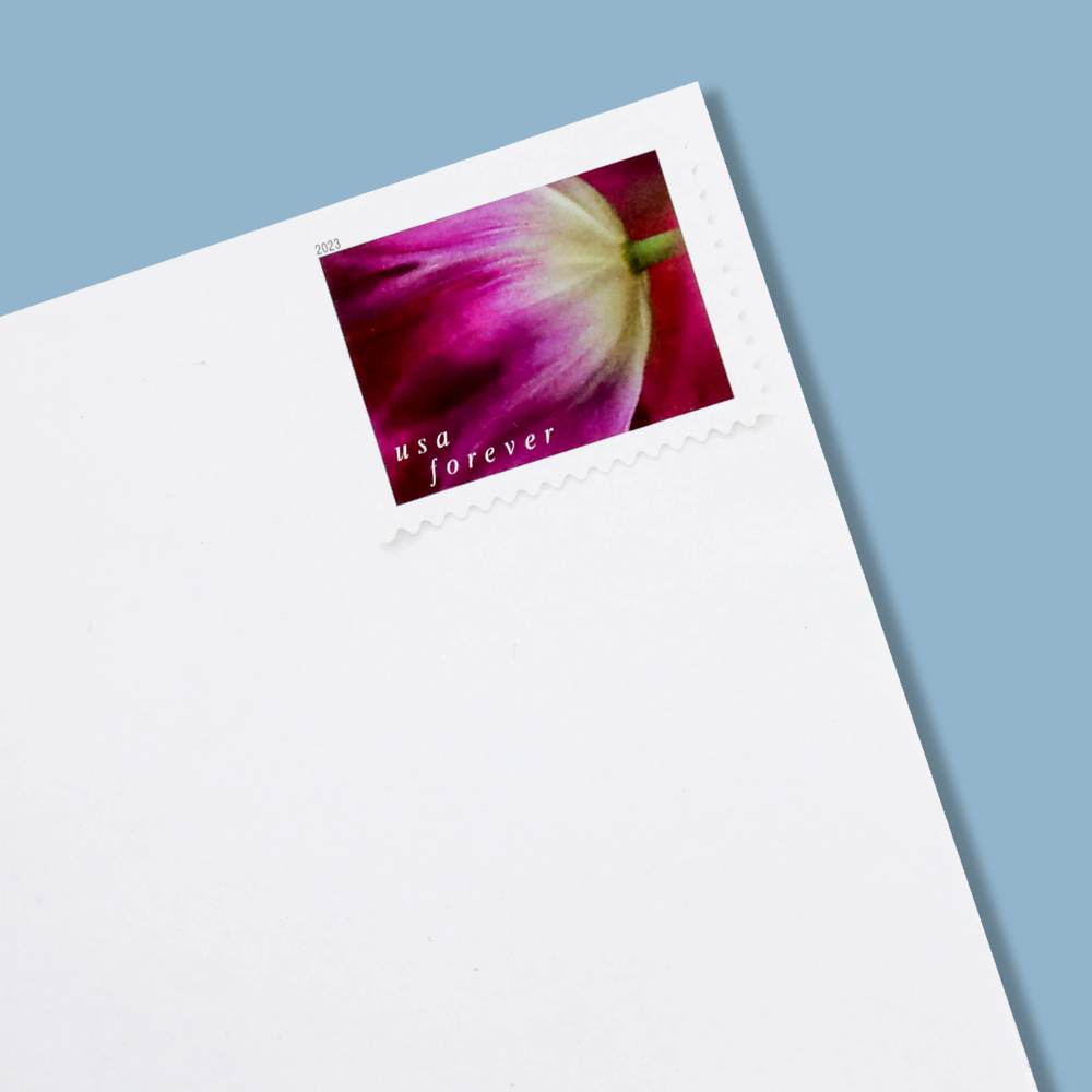 (2023) US Tulip Blossoms First-Class Forever Stamps