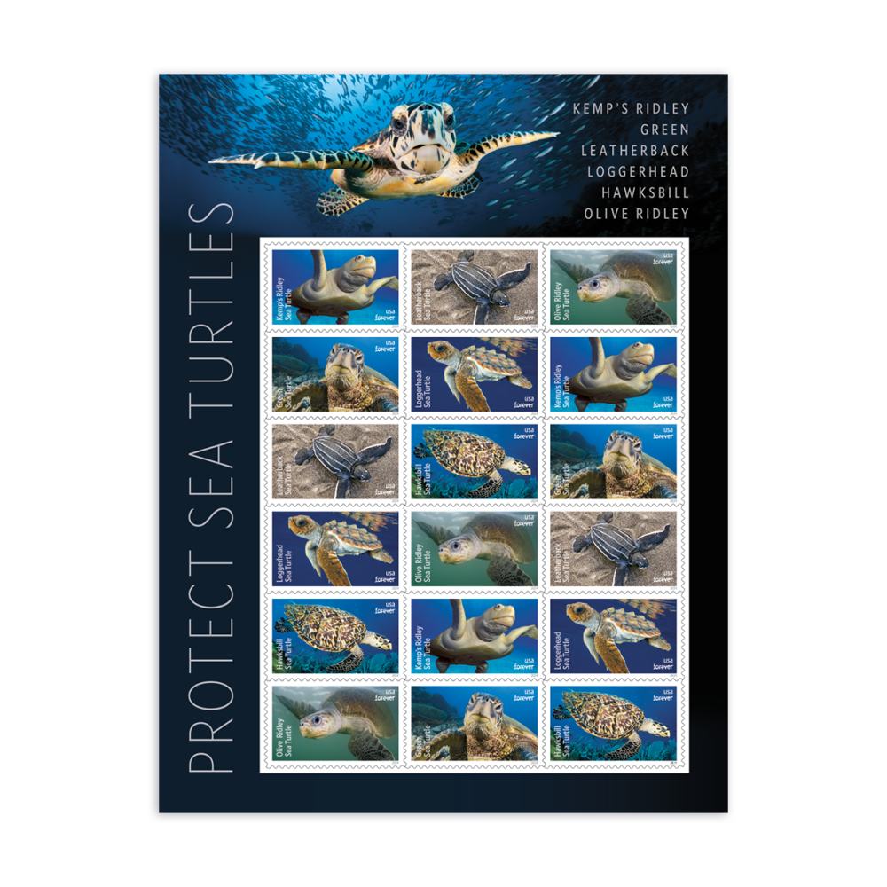 (2024) Protect Sea Turtles Stamps