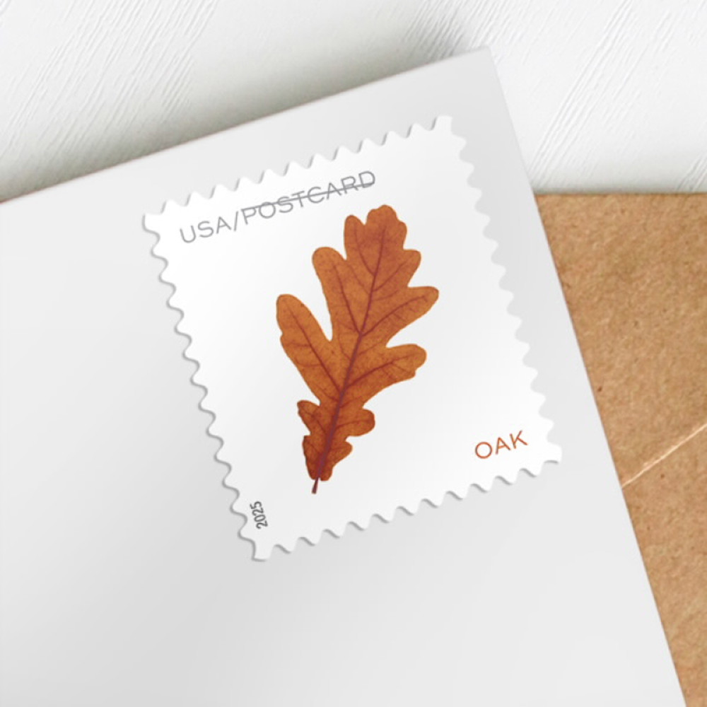 (2025) Vibrant Leaves Postcard Stamps, Sheet of 20 | Multiple Stamp Designs and Formats