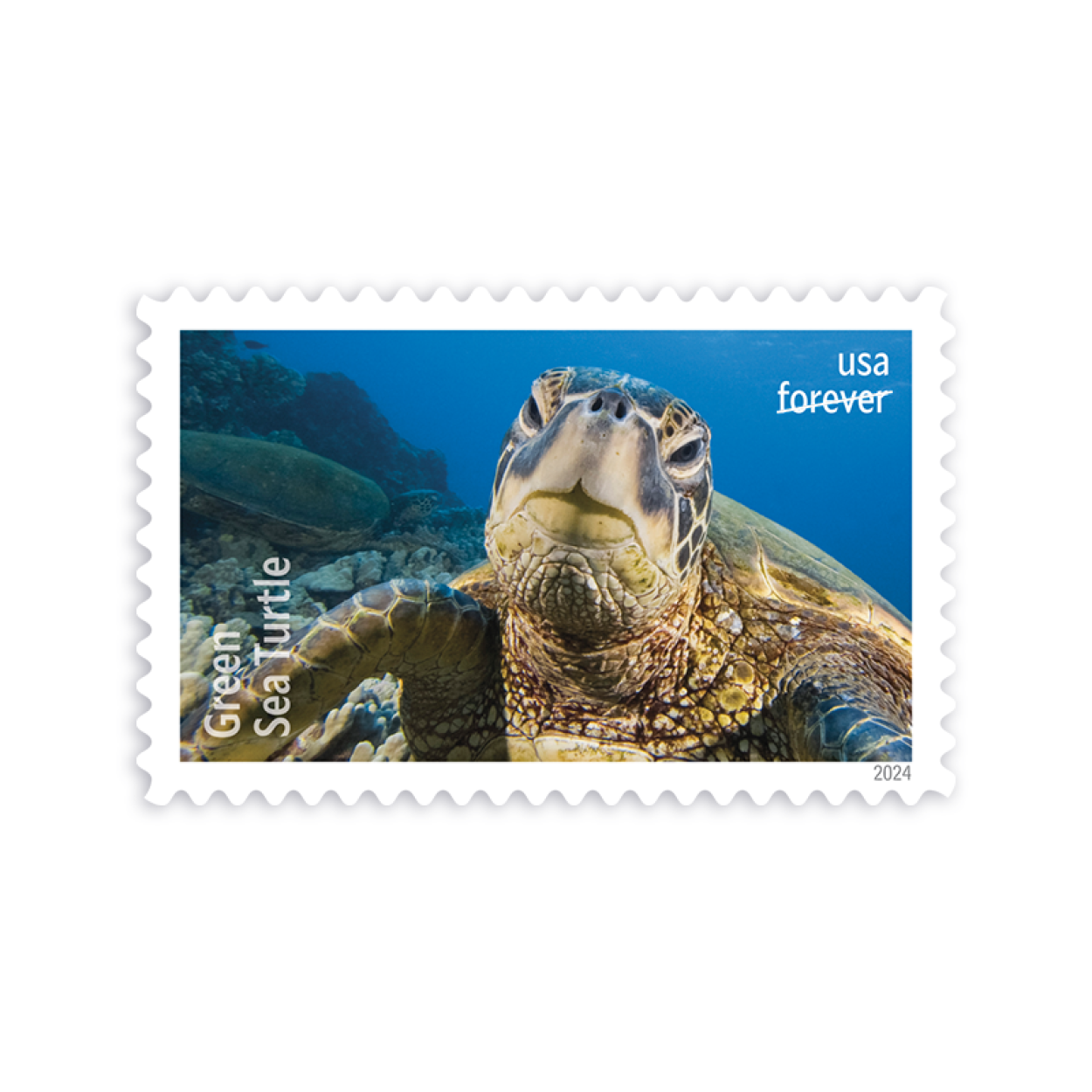 (2024) Protect Sea Turtles Stamps