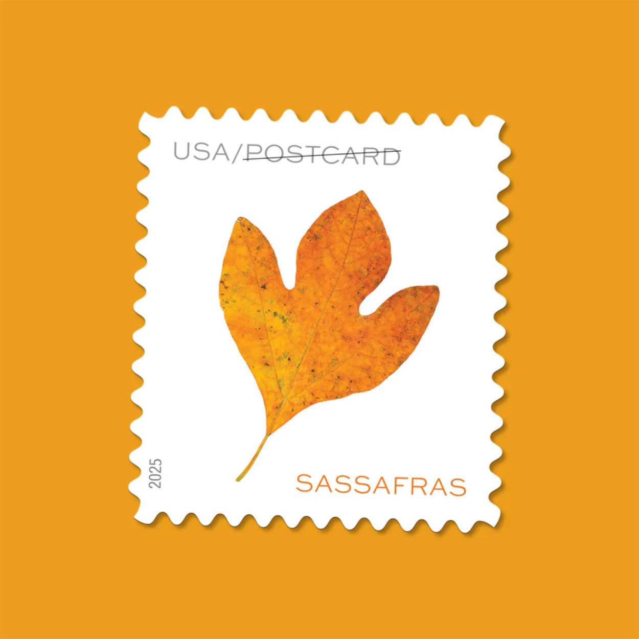 (2025) Vibrant Leaves Postcard Stamps, Sheet of 20 | Multiple Stamp Designs and Formats