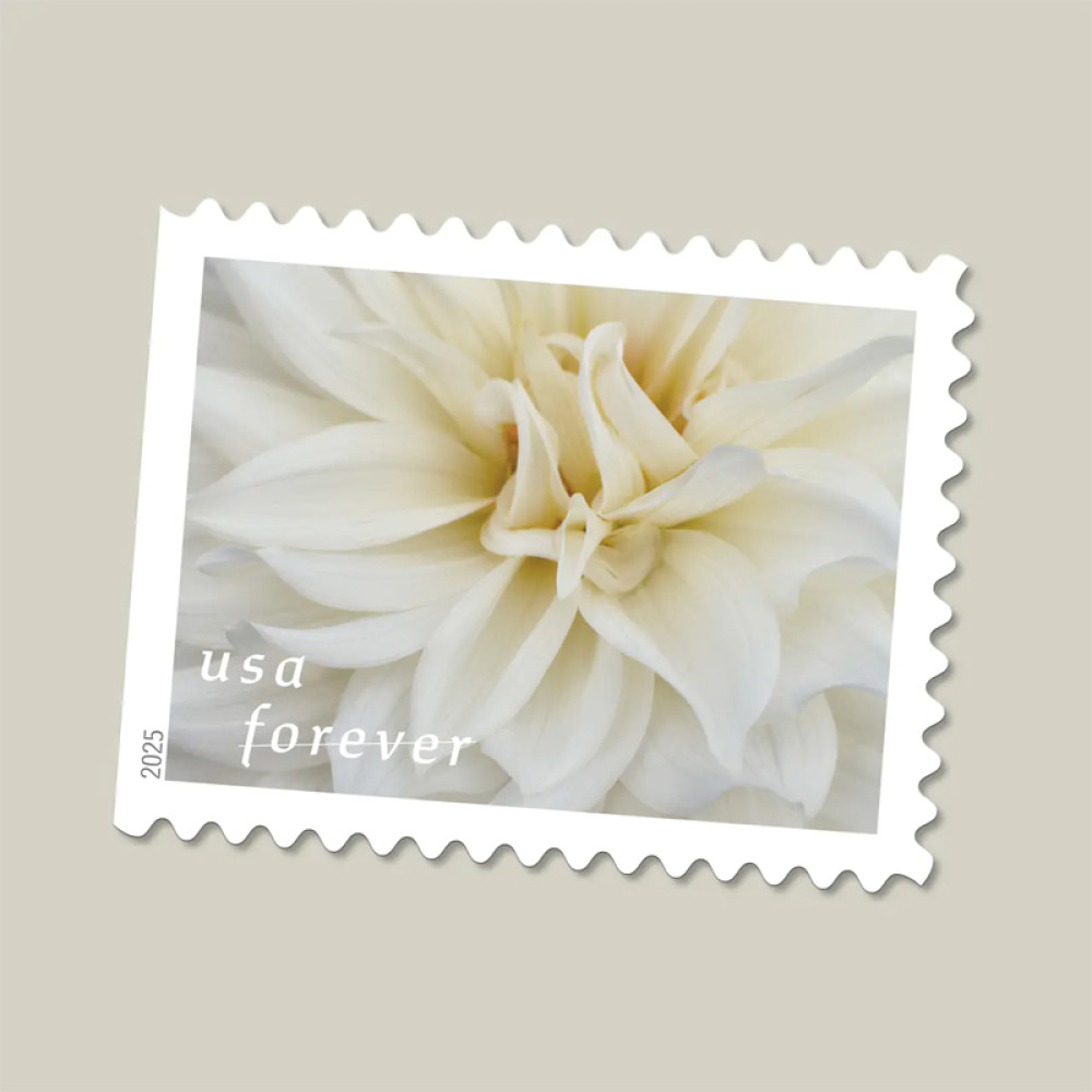 (2025) Dahlias Stamps Book of 20