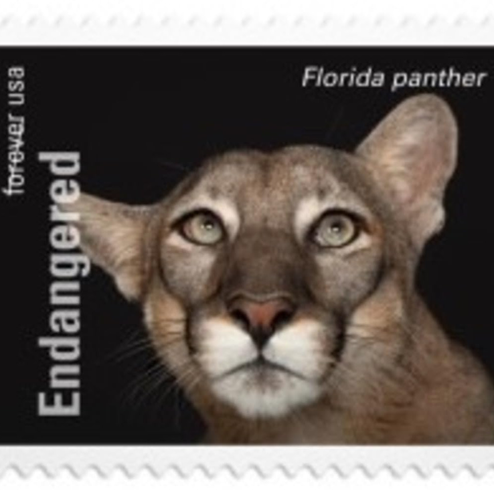 (2023) US Endangered Species First Class Postage Forever Stamps