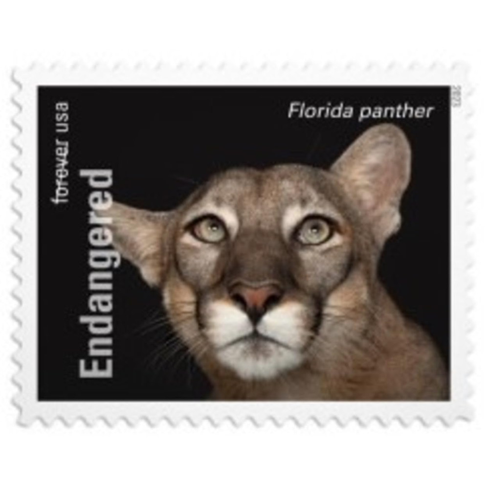 (2023) US Endangered Species First Class Postage Forever Stamps