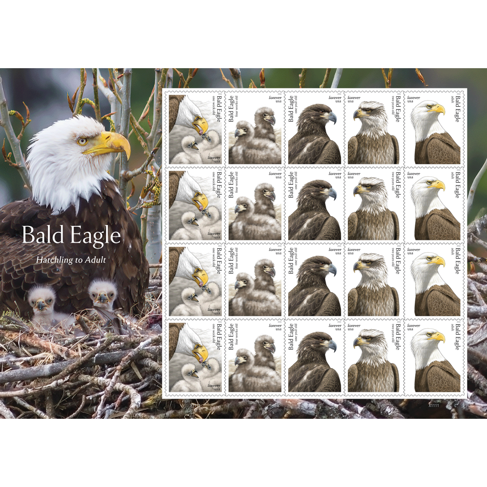(2026) Bald Eagle: Hatchling to Adult Forever Stamps, Sheet of 20