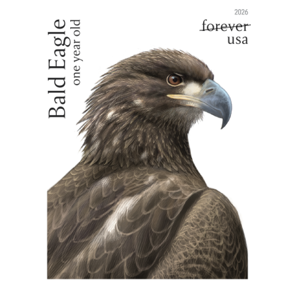 (2026) Bald Eagle: Hatchling to Adult Forever Stamps, Sheet of 20