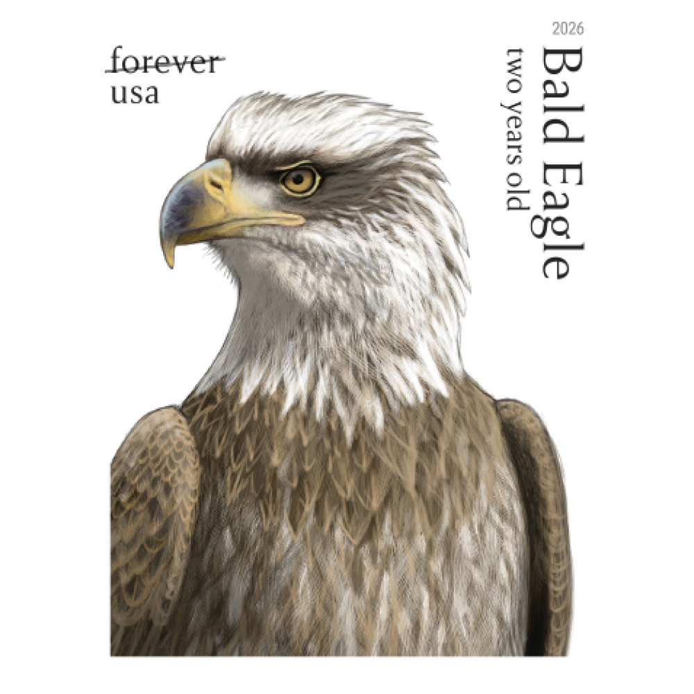 (2026) Bald Eagle: Hatchling to Adult Forever Stamps, Sheet of 20