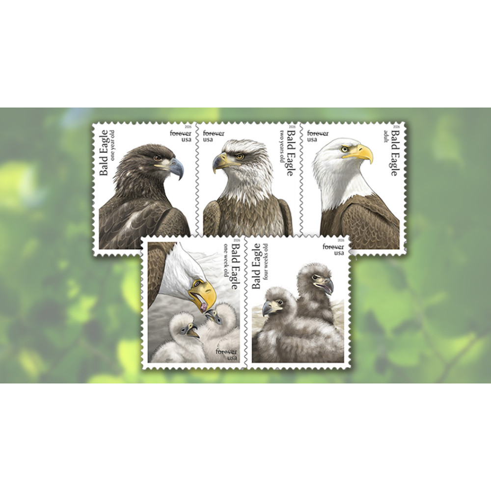 (2026) Bald Eagle: Hatchling to Adult Forever Stamps, Sheet of 20