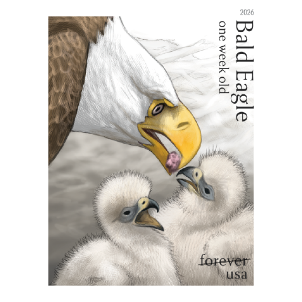 (2026) Bald Eagle: Hatchling to Adult Forever Stamps, Sheet of 20
