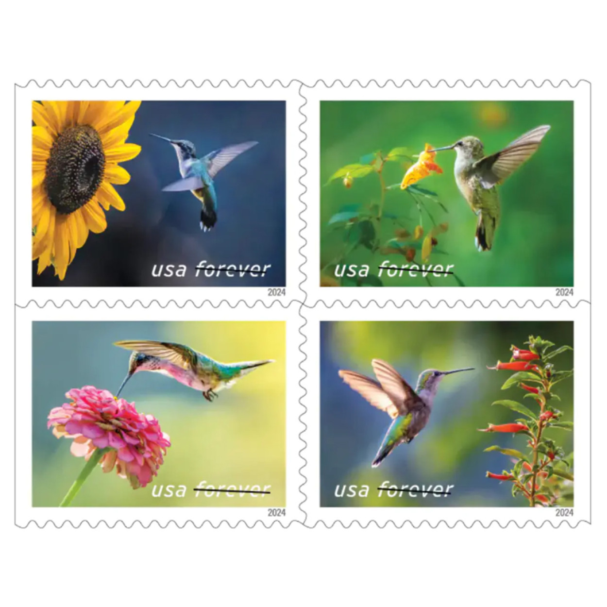 (2024) USPS Garden Delights Forever Stamps