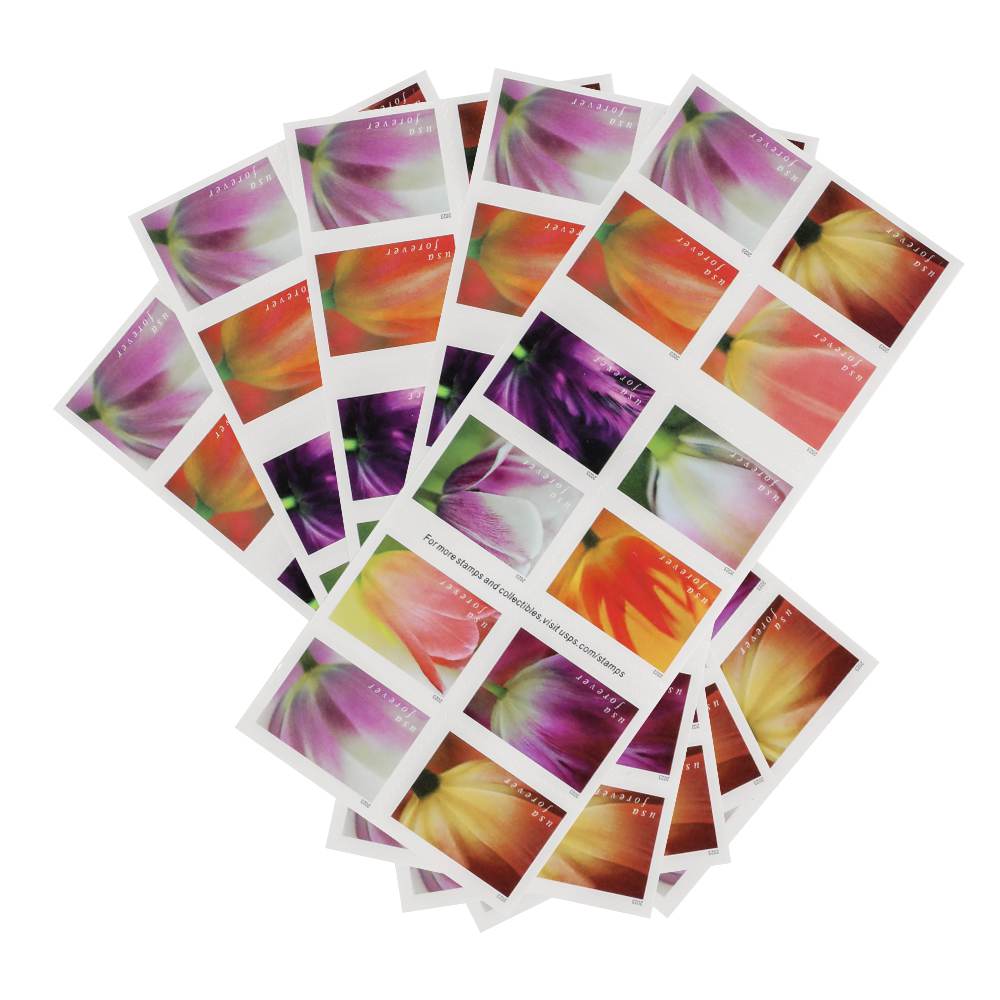 (2023) US Tulip Blossoms First-Class Forever Stamps