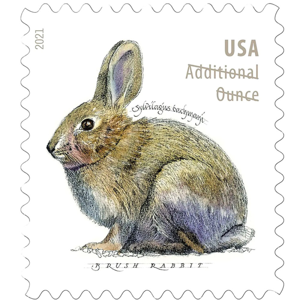 (2021) Brush Rabbit Additional Ounce Forever Postage Stamps