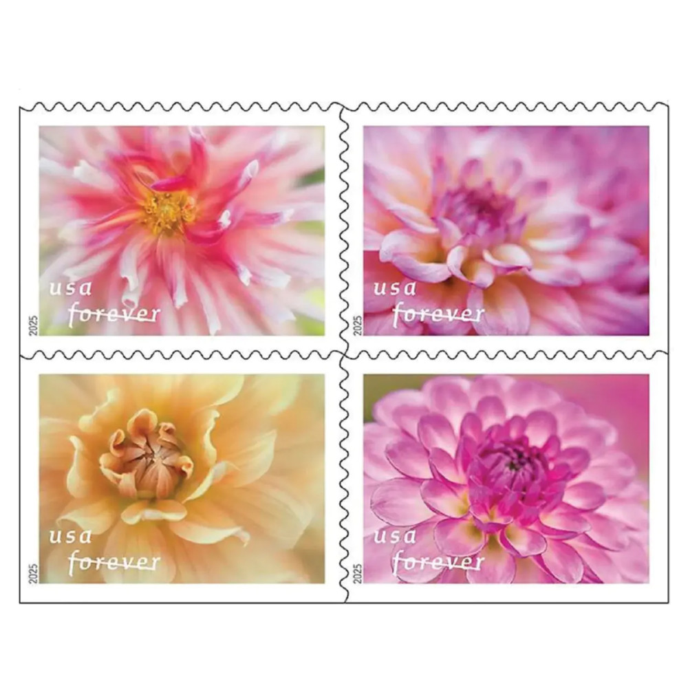 (2025) Dahlias Stamps Book of 20