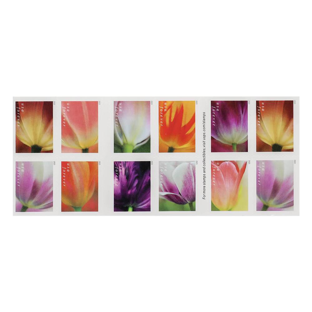 (2023) US Tulip Blossoms First-Class Forever Stamps