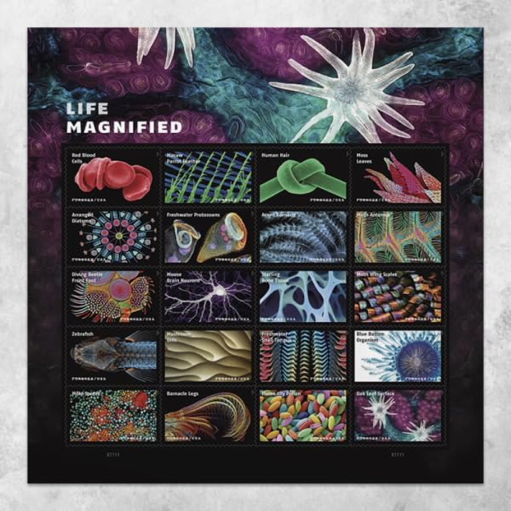 (2023) Life Magnified Forever Postage Stamps Explores Life on Earth